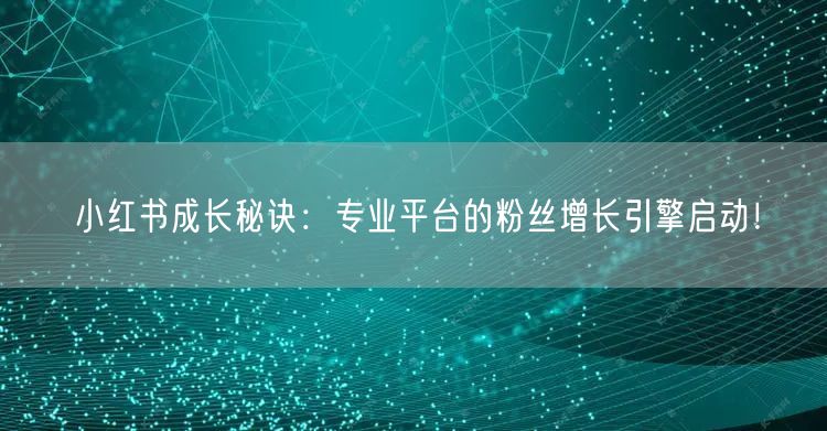 小红书成长秘诀：专业平台的粉丝增长引擎启动！