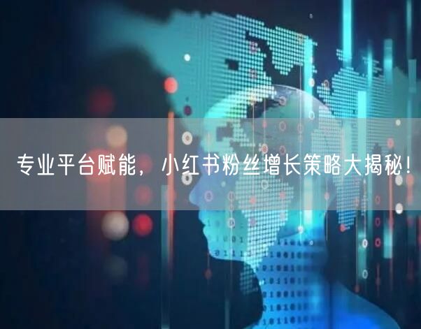 专业平台赋能，小红书粉丝增长策略大揭秘！