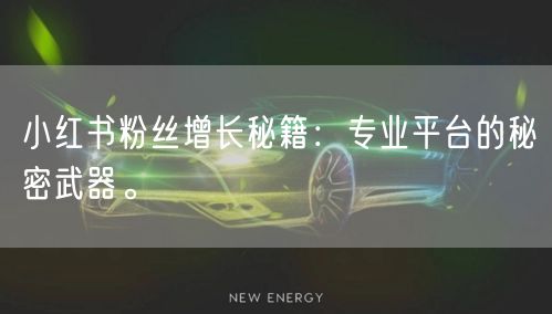小红书粉丝增长秘籍：专业平台的秘密武器。