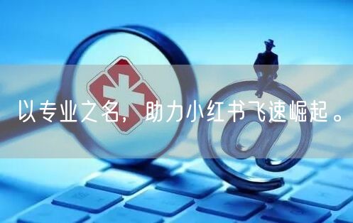 以专业之名，助力小红书飞速崛起。