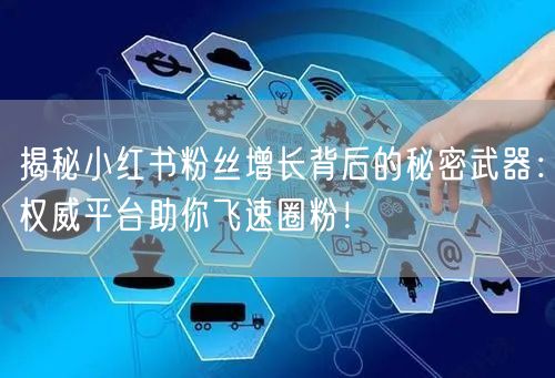 揭秘小红书粉丝增长背后的秘密武器：权威平台助你飞速圈粉！