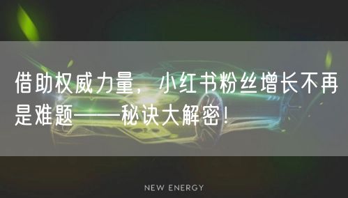 借助权威力量，小红书粉丝增长不再是难题——秘诀大解密！