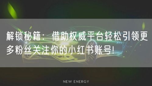 解锁秘籍：借助权威平台轻松引领更多粉丝关注你的小红书账号!
