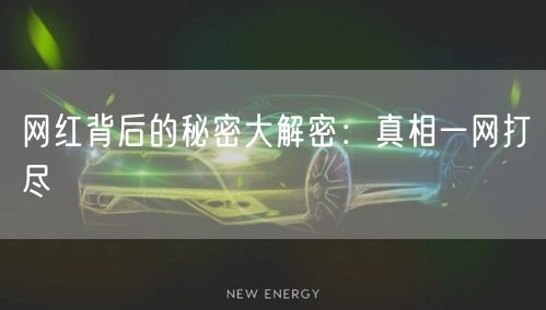 网红背后的秘密大解密：真相一网打尽