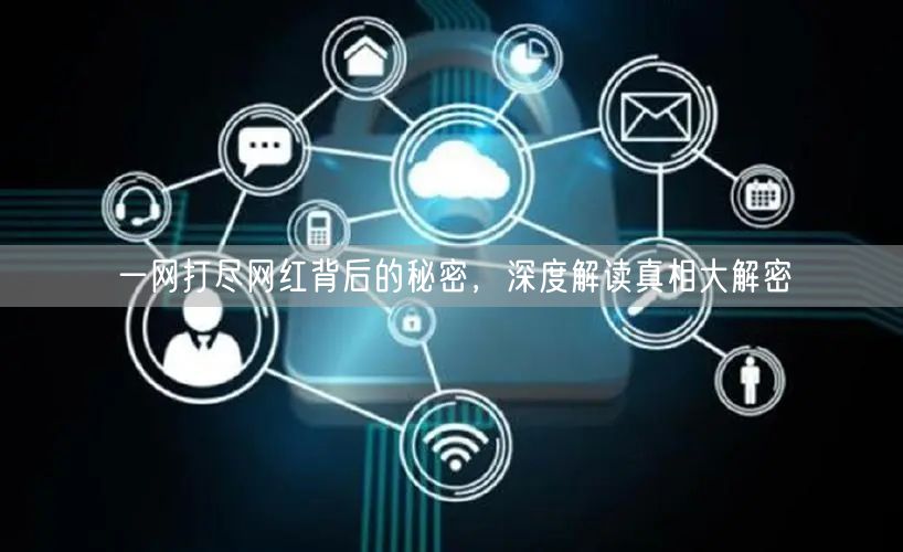 一网打尽网红背后的秘密，深度解读真相大解密