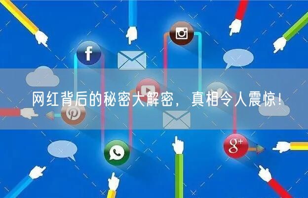 网红背后的秘密大解密，真相令人震惊！