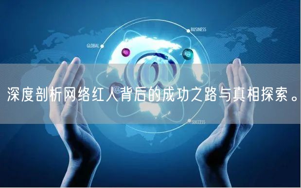 深度剖析网络红人背后的成功之路与真相探索。