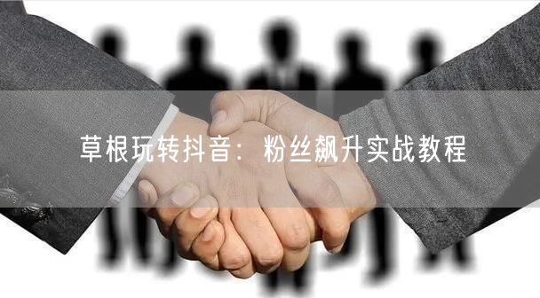 草根玩转抖音：粉丝飙升实战教程
