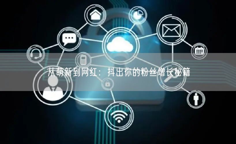从萌新到网红：抖出你的粉丝增长秘籍