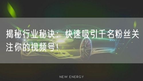揭秘行业秘诀：快速吸引千名粉丝关注你的视频号！