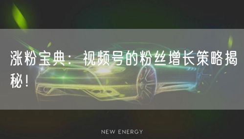 涨粉宝典：视频号的粉丝增长策略揭秘！