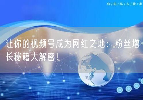 让你的视频号成为网红之地：粉丝增长秘籍大解密！