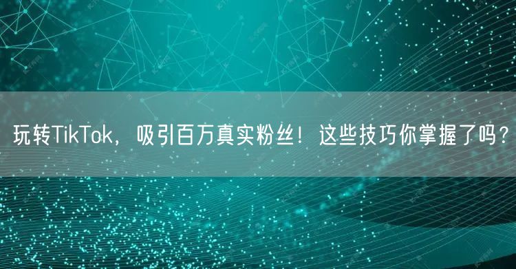 玩转TikTok，吸引百万真实粉丝！这些技巧你掌握了吗？