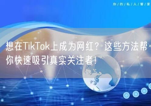 想在TikTok上成为网红？这些方法帮你快速吸引真实关注者！