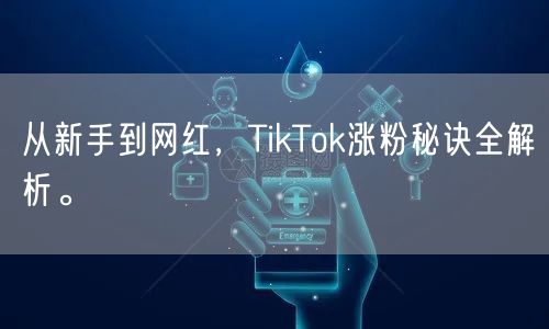 从新手到网红，TikTok涨粉秘诀全解析。