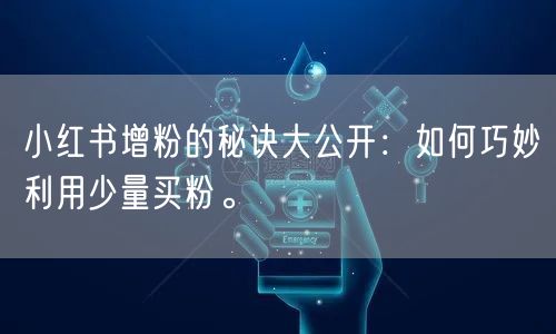小红书增粉的秘诀大公开：如何巧妙利用少量买粉。