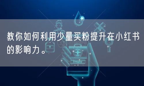 教你如何利用少量买粉提升在小红书的影响力。