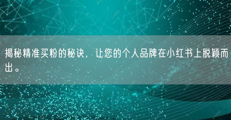 揭秘精准买粉的秘诀，让您的个人品牌在小红书上脱颖而出。