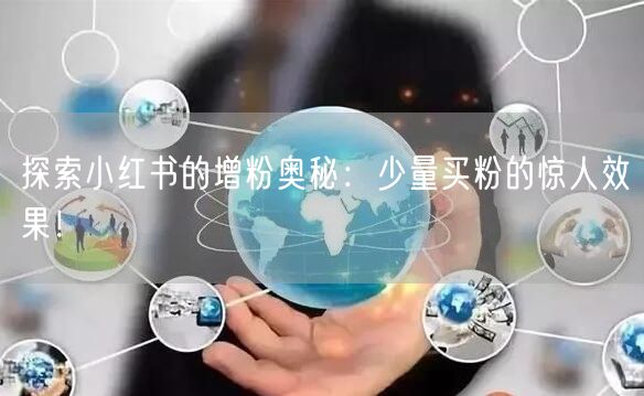 探索小红书的增粉奥秘：少量买粉的惊人效果！
