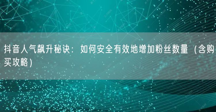 抖音人气飙升秘诀：如何安全有效地增加粉丝数量（含购买攻略）