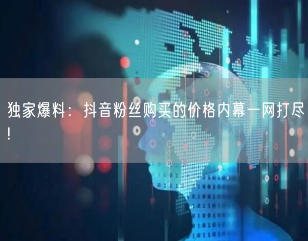 独家爆料：抖音粉丝购买的价格内幕一网打尽!