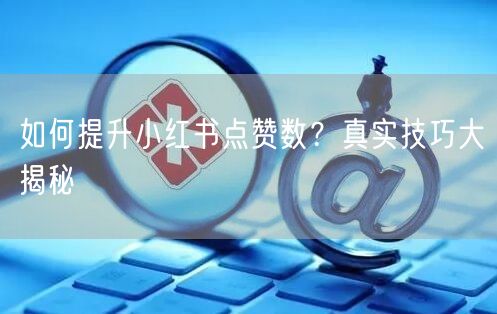 如何提升小红书点赞数？真实技巧大揭秘