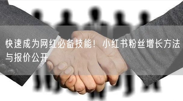 快速成为网红必备技能！小红书粉丝增长方法与报价公开