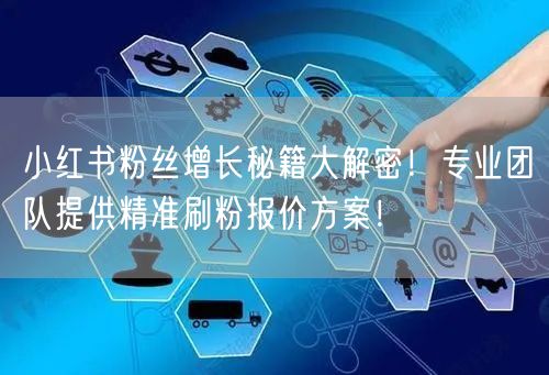 小红书粉丝增长秘籍大解密！专业团队提供精准刷粉报价方案！