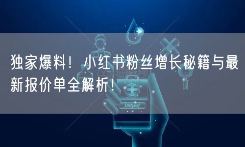 独家爆料！小红书粉丝增长秘籍与最新报价单全解析！