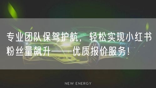 专业团队保驾护航，轻松实现小红书粉丝量飙升——优质报价服务！