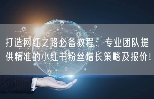 打造网红之路必备教程：专业团队提供精准的小红书粉丝增长策略及报价！