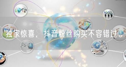 独家惊喜，抖音粉丝购买不容错过。