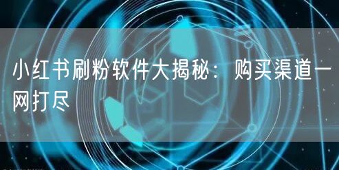 小红书刷粉软件大揭秘：购买渠道一网打尽