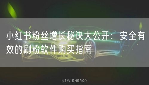 小红书粉丝增长秘诀大公开：安全有效的刷粉软件购买指南