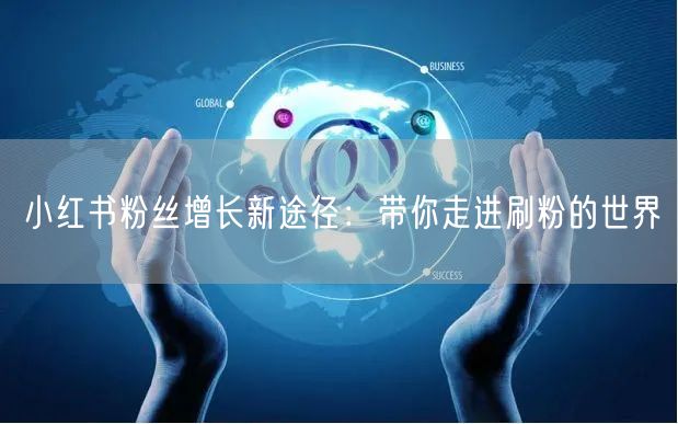 小红书粉丝增长新途径：带你走进刷粉的世界