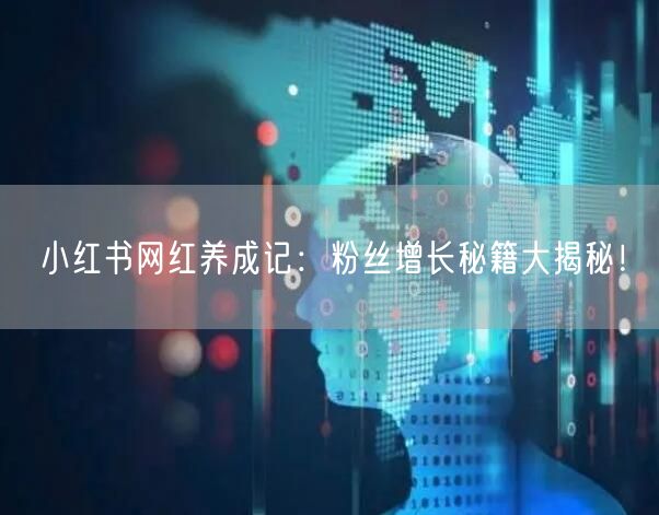 小红书网红养成记：粉丝增长秘籍大揭秘！