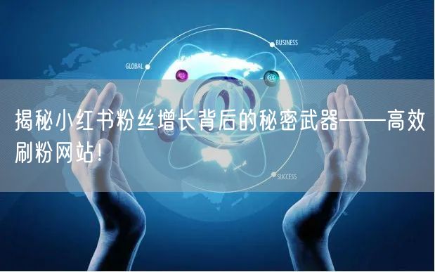 揭秘小红书粉丝增长背后的秘密武器——高效刷粉网站！