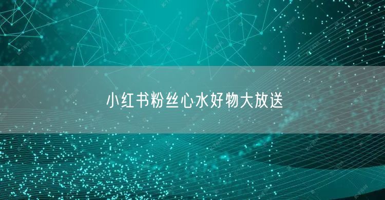 小红书粉丝心水好物大放送