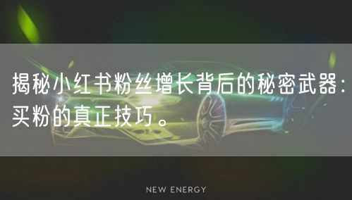 揭秘小红书粉丝增长背后的秘密武器：买粉的真正技巧。