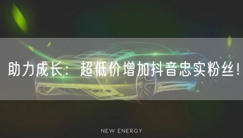 助力成长：超低价增加抖音忠实粉丝！