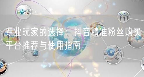 专业玩家的选择：抖音精准粉丝购买平台推荐与使用指南