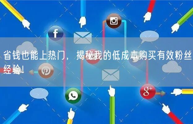 省钱也能上热门，揭秘我的低成本购买有效粉丝经验！
