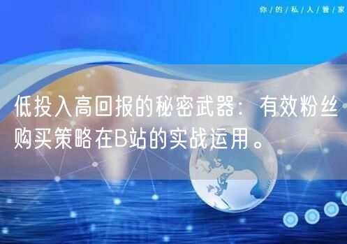 低投入高回报的秘密武器：有效粉丝购买策略在B站的实战运用。