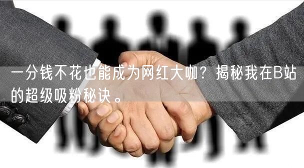 一分钱不花也能成为网红大咖？揭秘我在B站的超级吸粉秘诀。