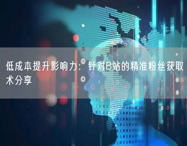 低成本提升影响力：针对B站的精准粉丝获取术分享