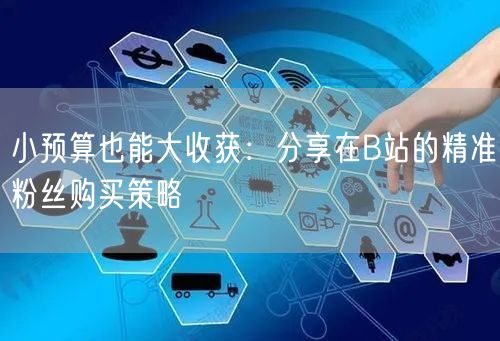 小预算也能大收获：分享在B站的精准粉丝购买策略