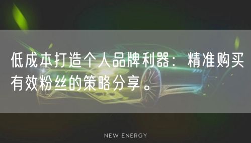 低成本打造个人品牌利器：精准购买有效粉丝的策略分享。