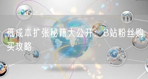 低成本扩张秘籍大公开：B站粉丝购买攻略