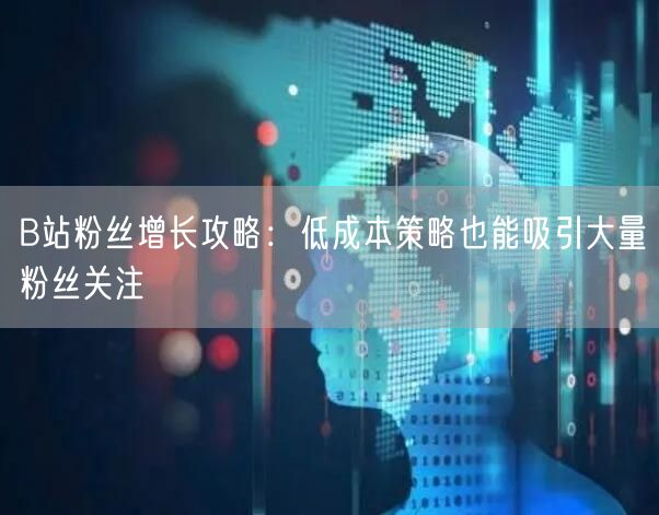 B站粉丝增长攻略：低成本策略也能吸引大量粉丝关注