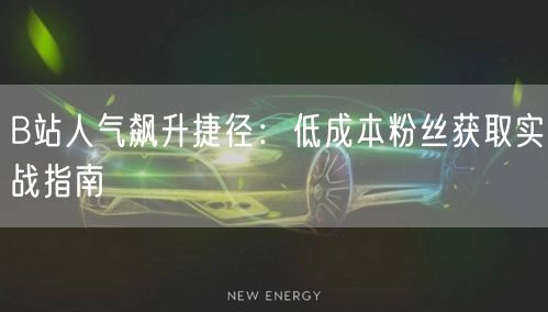 B站人气飙升捷径：低成本粉丝获取实战指南